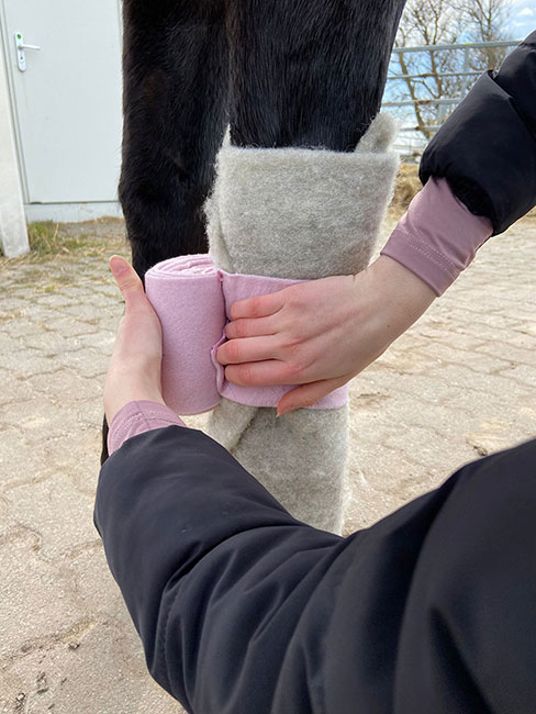 Wollstulpen für Pferde ( Sheep of Sylt )